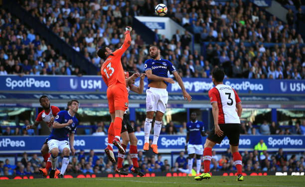 教学和训练 教学和训练