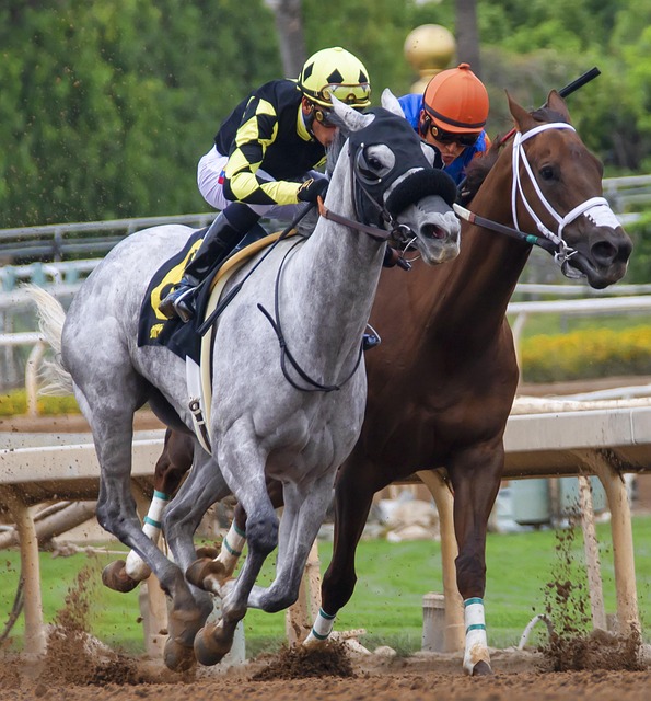 革新与发展 革新与发展